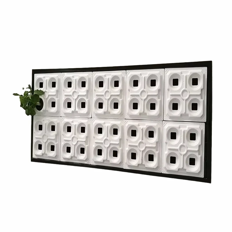 Vacuum Forming Plastic Large Growing Tray